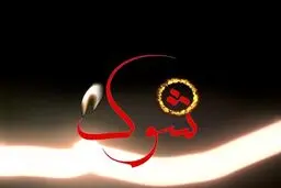 پرونده حقوقی حیوانات روی میز برنامه 