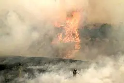 مدیر کل محیط زیست گلستان: هر لحظه امکان زبانه کشیدن دوباره آتش در جنگل‌ گلستان وجود دارد