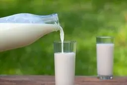 مشاور صنایع شیر ایران: از اسامی متخلفان استفاده از روغن 