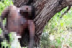 یک پزشک آمریکایی از مرگ 