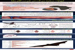 سازمان بهداشت جهانی درباره بیماری ابولا وضعیت اضطراری اعلام کرد