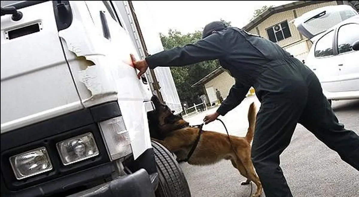 یک تن تریاک توسط اکیپ سگ‌های موادیاب در هرمزگان کشف شد