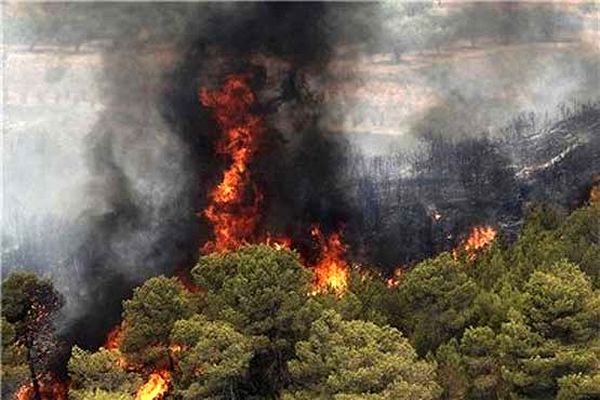 بیش از ۱۵۰ هکتار از اراضی جنگلی اندیمشک در آتش سوخت