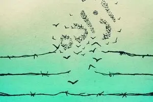 گرافیک:: آزاده