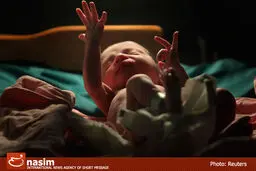 اولین فرزند حاصل از روش 