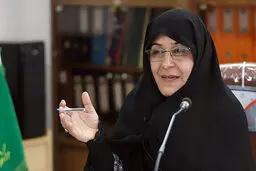 عضو کمیسیون اجتماعی مجلس: باید از امکانات طبیعی برای توسعه بندر چابهار استفاده شود
