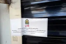  زندگی زیر سایه پلمپ