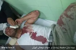 محیط‌بان پناهگاه حیات وحش شاهرود هدف گلوله شکارچیان قرار گرفت