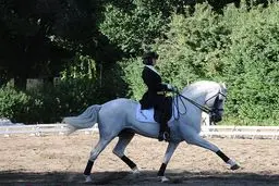 ملی‌پوش سوارکاری: برای اعزام به بازی‌های آسیایی تلاش کردیم اما مجوز حضور به ما داده نشد