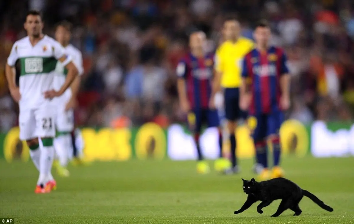 گزارش تصویری پیروزی بارسلونا در هفته نخست لالیگا را در «نسیم» ببینید