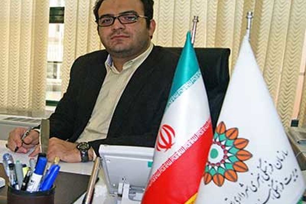 مدیر فرهنگی هنری منطقه پنج  تهران منصوب شد