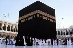 فقیهی: ۲۰ هزار دانشجو وام عمره و عتبات دریافت می‌کنند