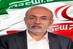 عضو شورای شهر شیراز: اجرای طرح ترافیک شیراز به نظرسنجی گذاشته شود