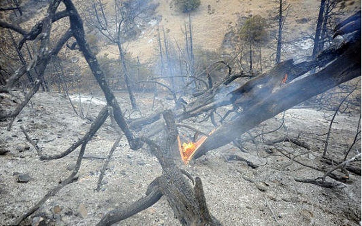 "خسارت آتش‌‌سوزی اخیر مراتع سیمکان بیش از هشت هزار میلیون ریال برآورد شده است"