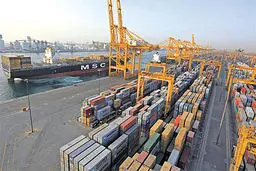 ممنوعیت واردات مرزنشینی برداشته شد