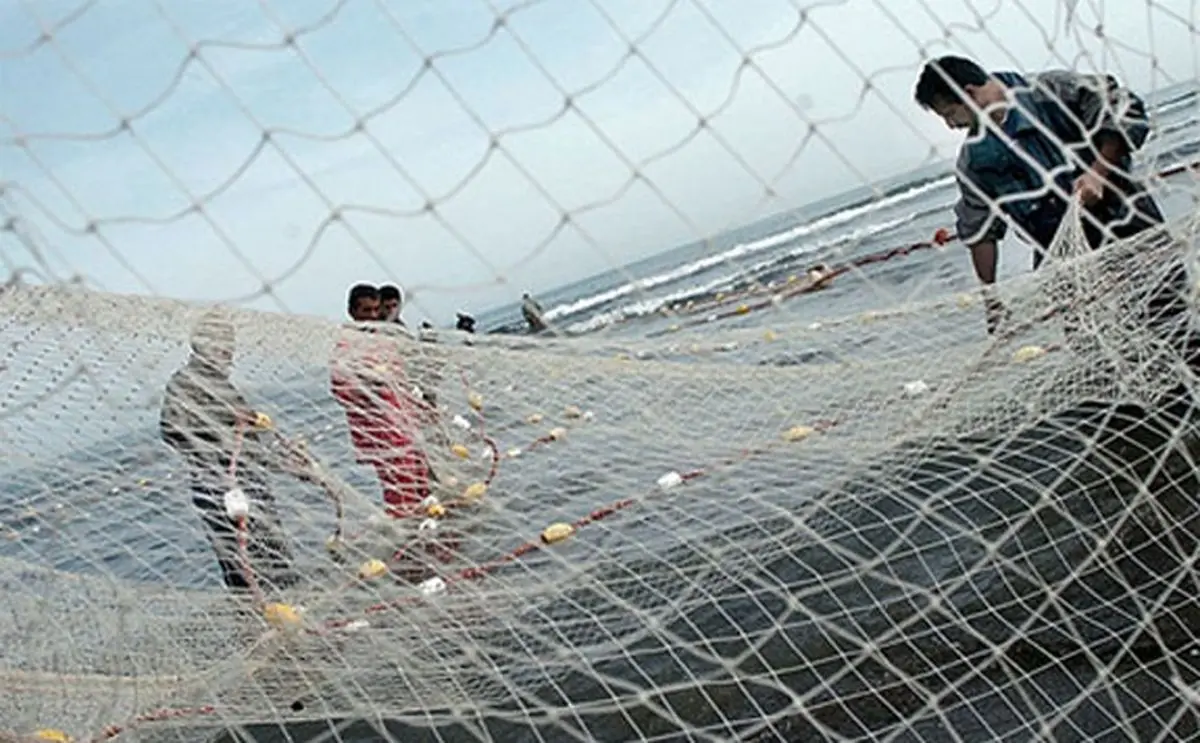 معاون شیلات ایران: سال گذشته ۴۷۴ هزار تن ماهی در سواحل جنوب کشور صید شده است