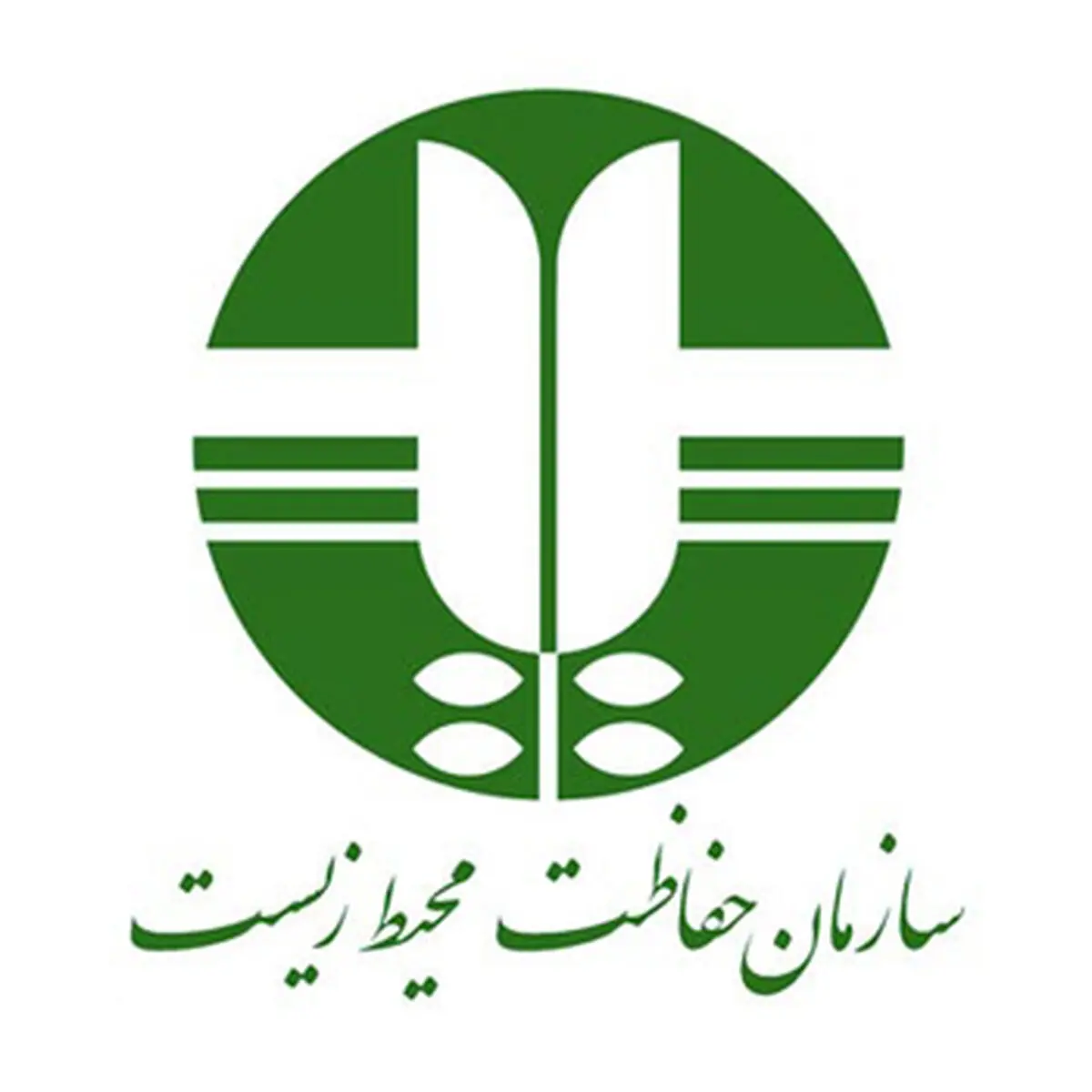 رئیس محیط زیست خراسان رضوی: ۲۰ برنامه در هفته دولت از سوی این نهاد برگزار می‌شود