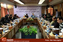 هیچ سایت صیغه و همسریابی مورد تایید وزارت جوانان نیست