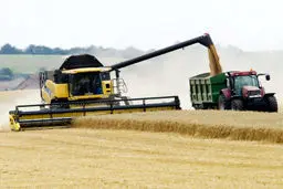 نرخ سود تسهیلات بخش کشاورزی ۱۷ درصد شد