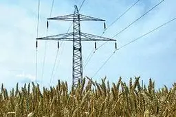 مدیرعامل  توانیر: ۱۶.۳ درصد برق کشور در بخش کشاورزی مصرف می‌شود