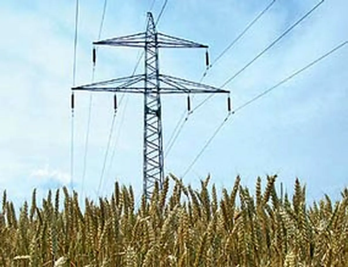 مدیرعامل  توانیر: ۱۶.۳ درصد برق کشور در بخش کشاورزی مصرف می‌شود