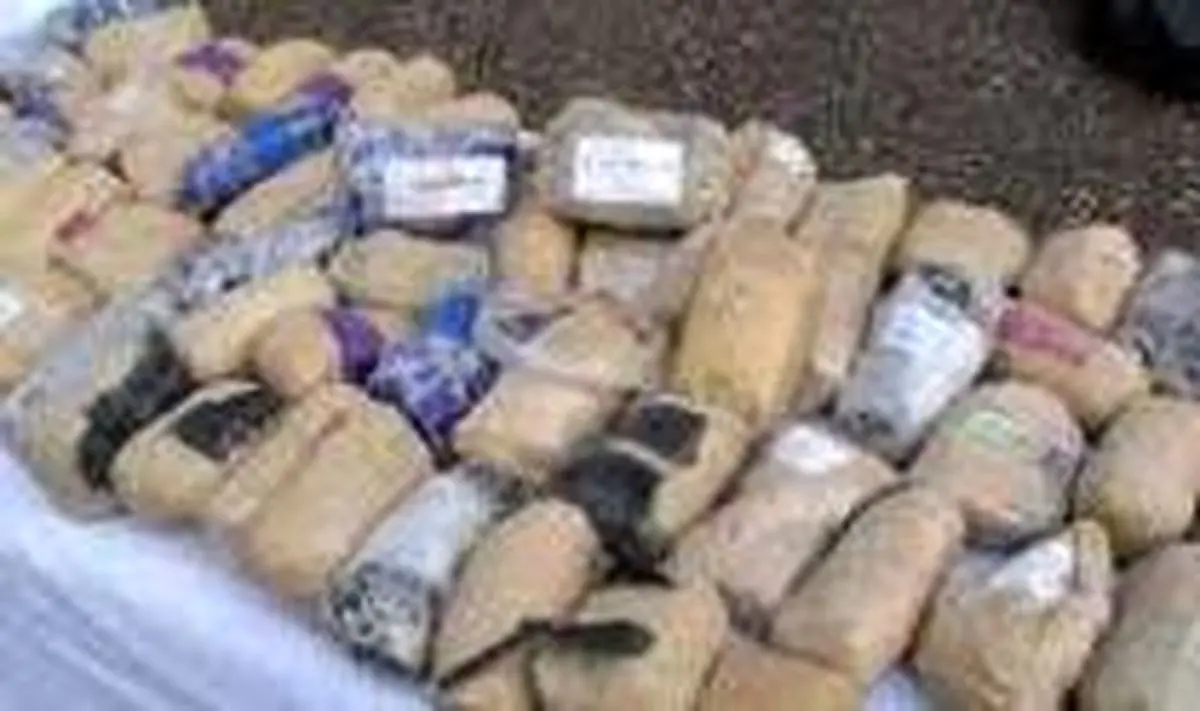 بیش از یک تن مواد مخدر طی درگیری با اشرار در میناب هرمزگان کشف شد