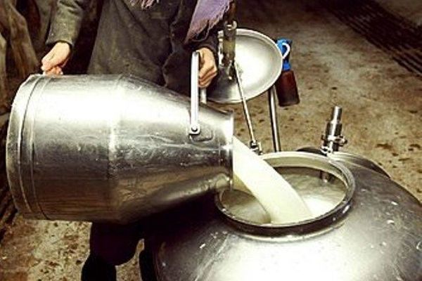 مشاور ‌صنایع شیر ایران: تولید شیرخام کشور هشت میلیون تن در سال است 