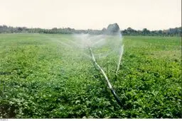 دو طرح سیستم آبیاری نوین و مرغداری در گیلانغرب کلنگ‌زنی و افتتاح شد