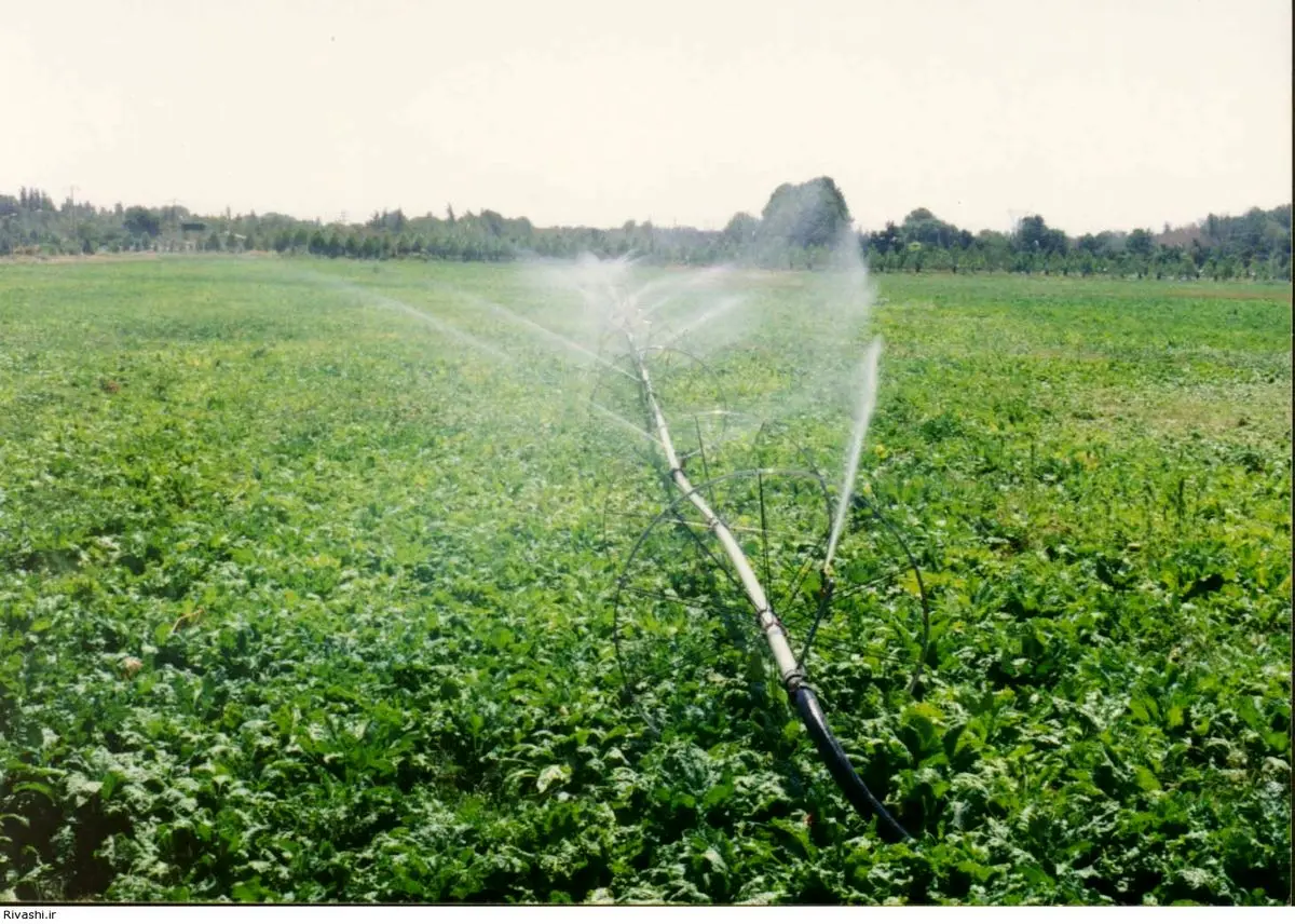 دو طرح سیستم آبیاری نوین و مرغداری در گیلانغرب کلنگ‌زنی و افتتاح شد