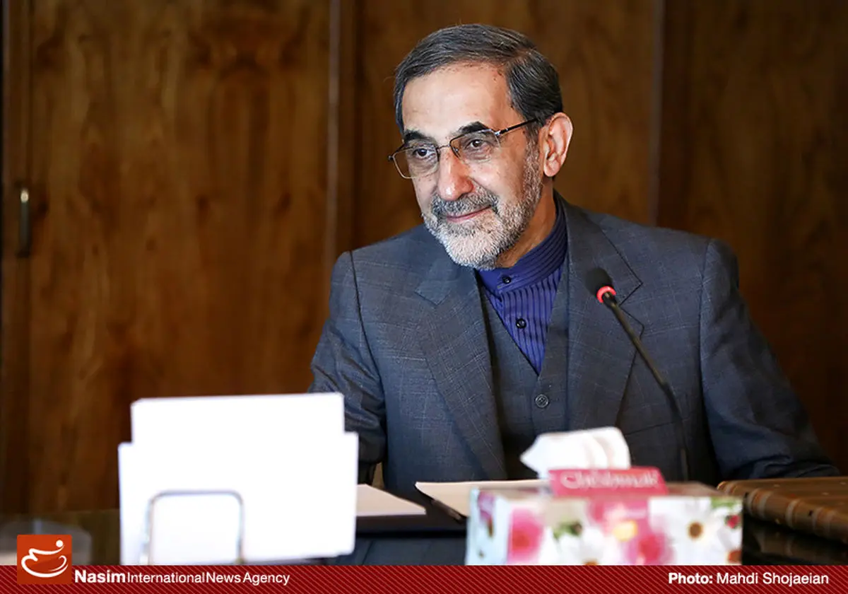 وزیر خارجه فنلاند با ولایتی دیدار کرد