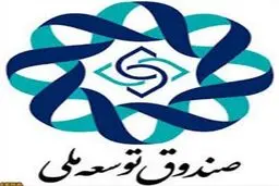 مدیر امور اقتصادی و برنامه‌ریزی استراتژیک صندوق توسعه ملی تعیین شد
