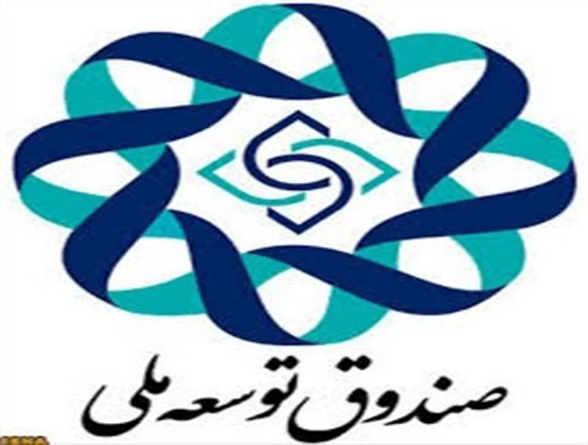 مدیر امور اقتصادی و برنامه‌ریزی استراتژیک صندوق توسعه ملی تعیین شد