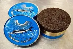 مدیرکل شیلات مازندران: ۱۵۰  کیلوگرم خاویار پرورشی صادر شد