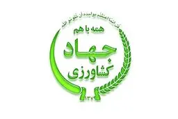 مدیرکل جهاد کشاورزی سیستان و بلوچستان: چشم‌انداز کشاورزی استان روشن است