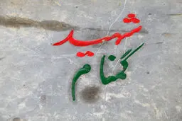 شهیدی پس از ۲۹ سال دوری، در دزفول به آغوش مادرش برگشت