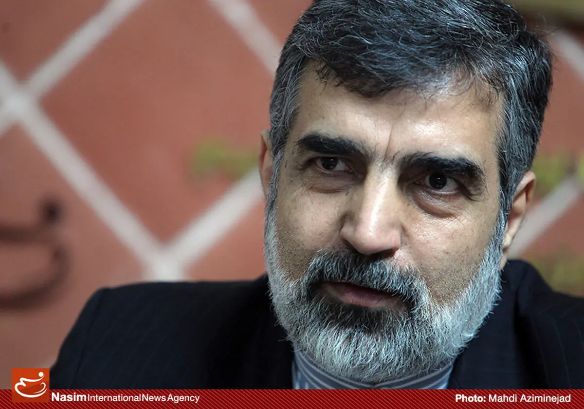 کمالوندی: مستنداتی در خصوص مسیر پرواز پهپاد جاسوسی اسرائیلی در اختیار داریم