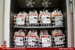 مدیر برنامه ملی خون‌های نادر ایران: بانک اطلاعاتی ۹۵۰ نفر دارای خون‌ نادر کامل شده است