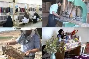 قائم‌مقام وزیر تعاون: در حال حاضر سهم تعاونی‌ها ۶ درصد اقتصاد کشور است