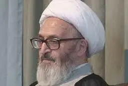 آیت‌الله سبحانی: منظم بودن پس از توفیق الهی رمز موفقیت است