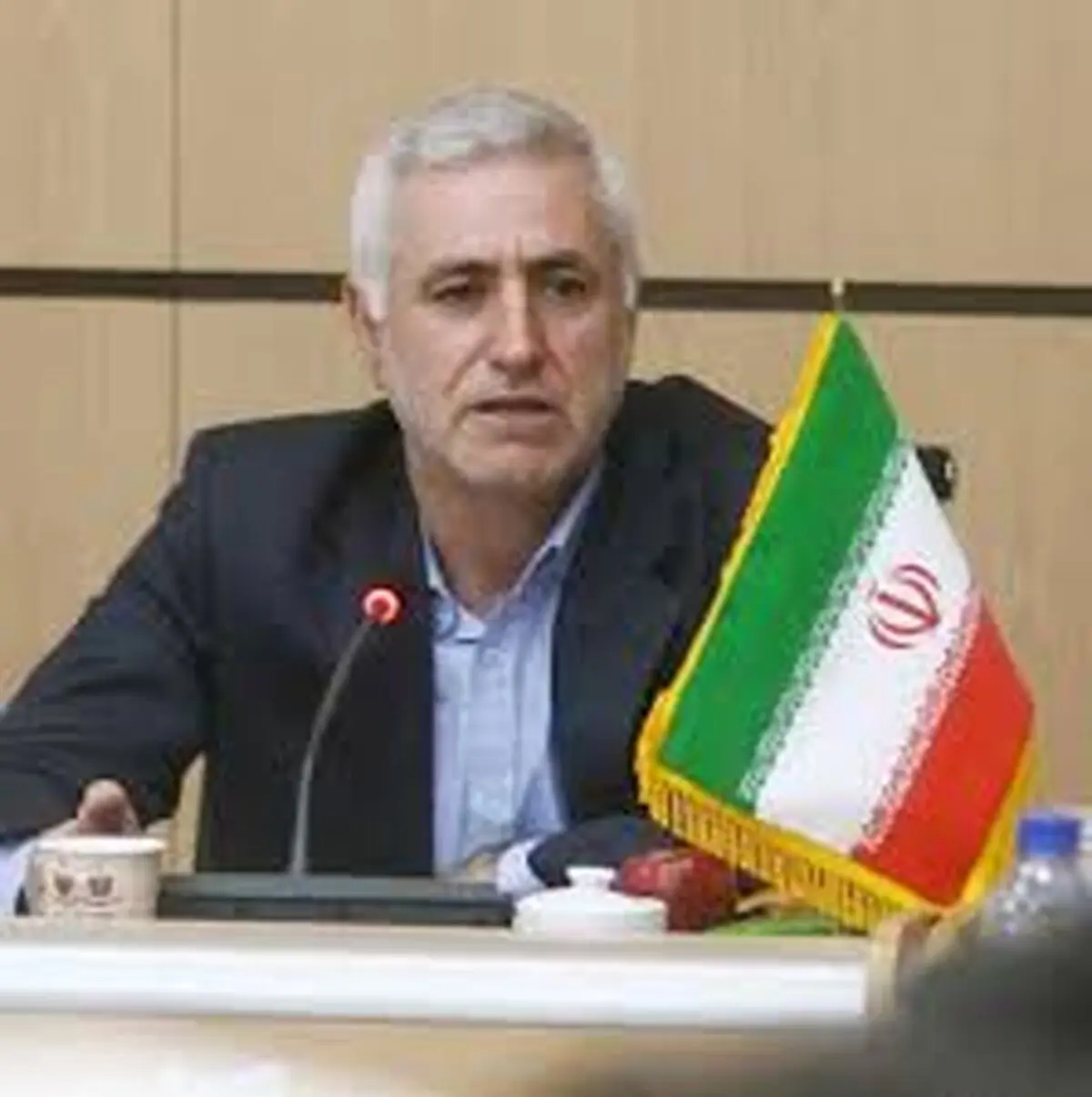 برزین ضرغامی دبیر اجرایی بیست و دومین دوره هفته کتاب شد