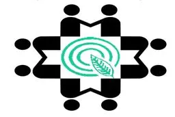 مشکینی: سمن‌ها از لحاظ فعالیت‌های مالی و ضوابط اداری نظارت می‌شوند