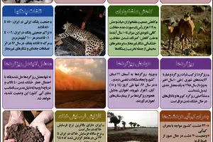 گرافیک اطلاع‌رسان:: هفت بحران زیست محیطی ایران