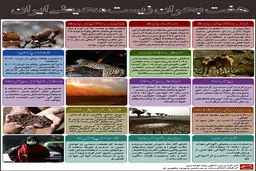 گرافیک اطلاع‌رسان:: هفت بحران زیست محیطی ایران