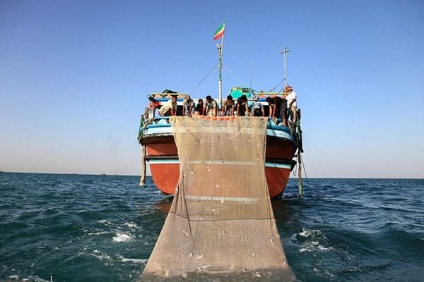 مدیر عامل کنسرسیوم صید صنعتی: صید صنعتی با ۴۲۰۰  تن به اتمام رسید