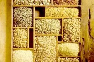 ایران از روسیه غلات وارد می‌کند