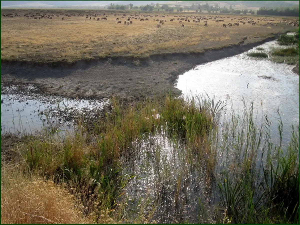 "بحران‌هایی مانند آب و محیط زیست با روش‌های پیشین قابل حل نیست"