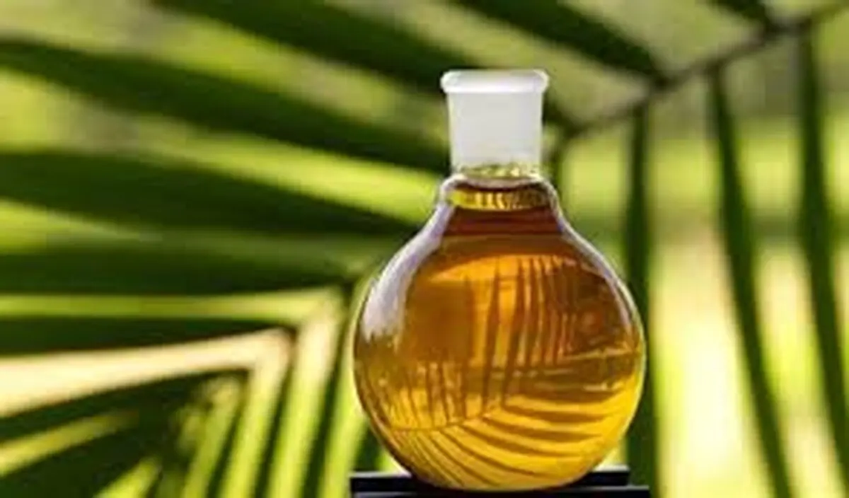 مصرف روغن پالم تا ۲۴ درصد خطر بیماری‌های قلب و عروقی را افزایش می‌دهد