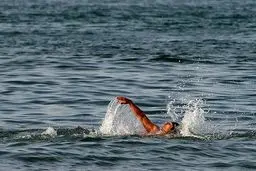 دو نماینده شنای ایران به صلاحدید کادرفنی انصراف دادند
