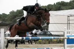 شاهزاده تایلندی در مسابقات سوارکاری اینچئون شرکت می‌کند