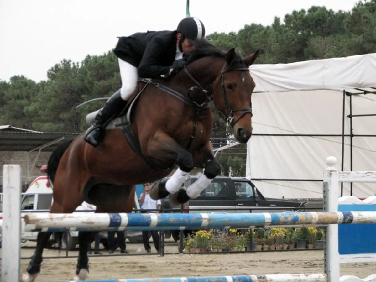 شاهزاده تایلندی در مسابقات سوارکاری اینچئون شرکت می‌کند